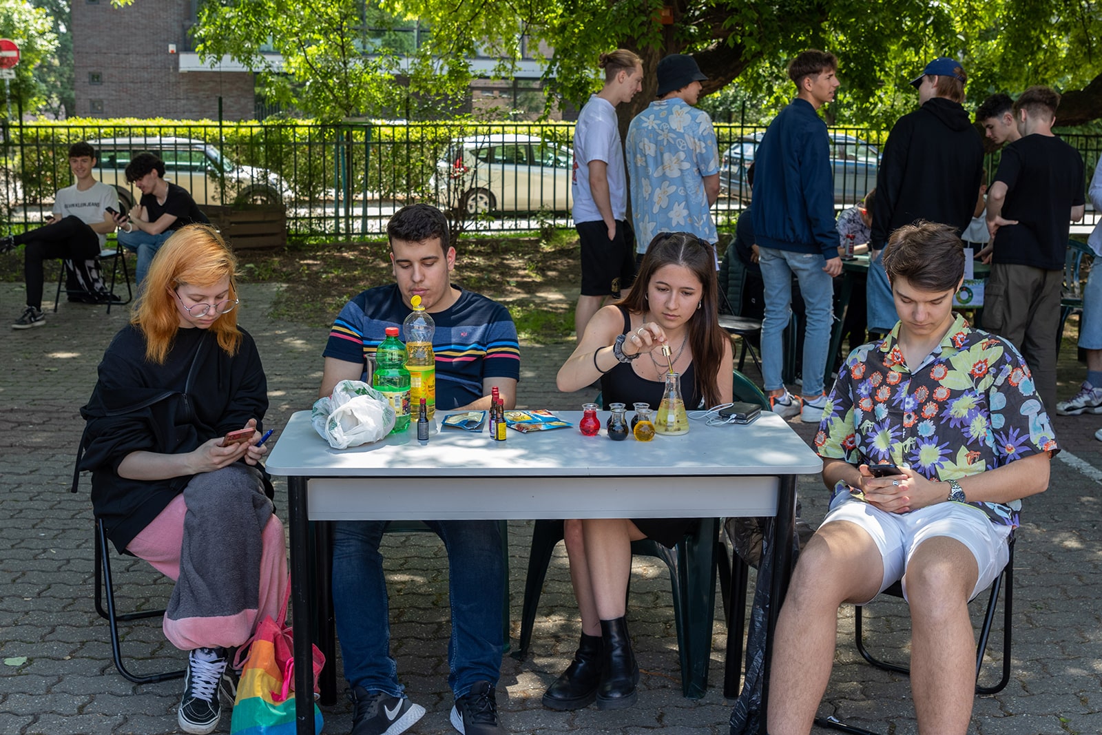 Természet projektnap
